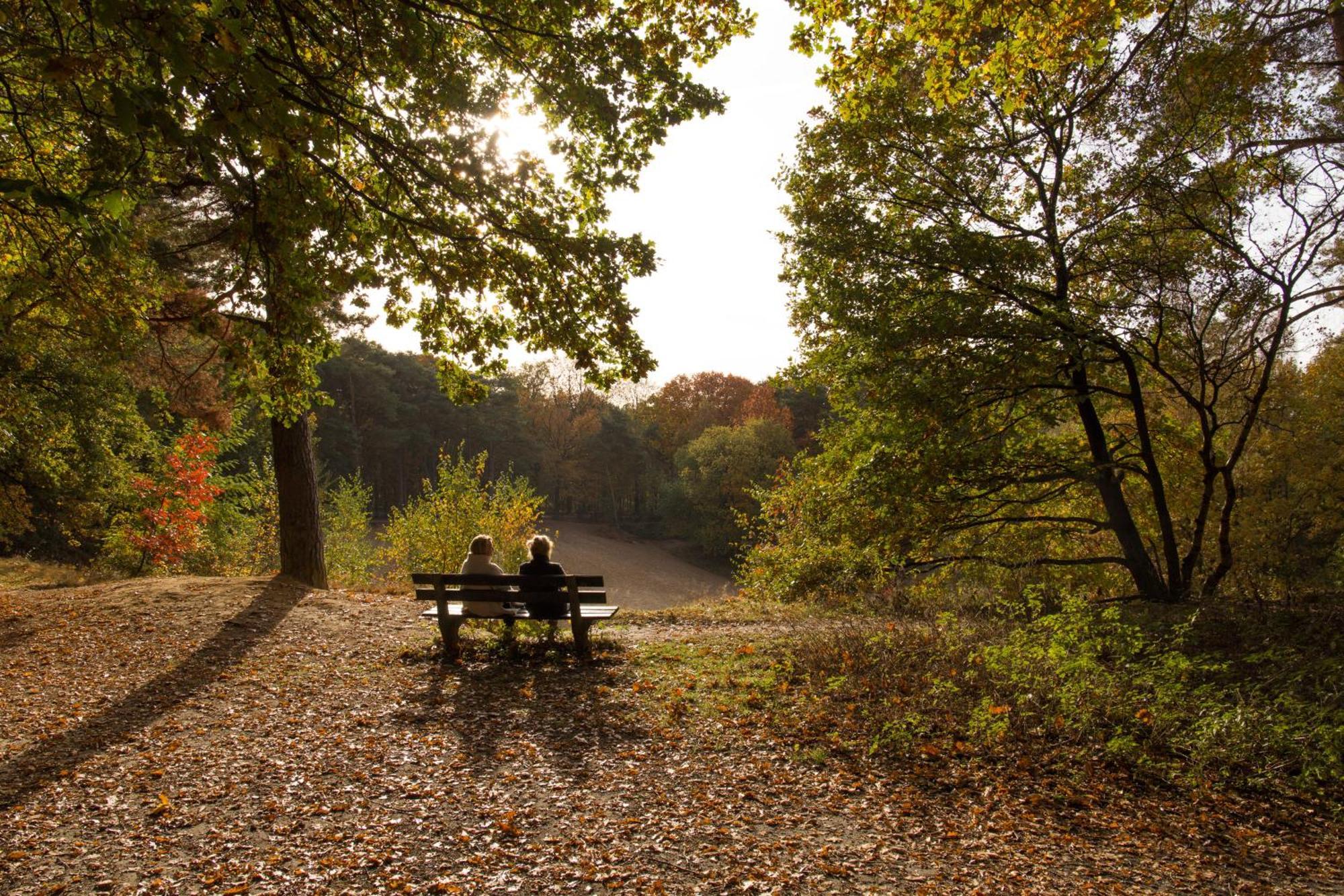 Molecaten Park De Leemkule Хаттем Экстерьер фото