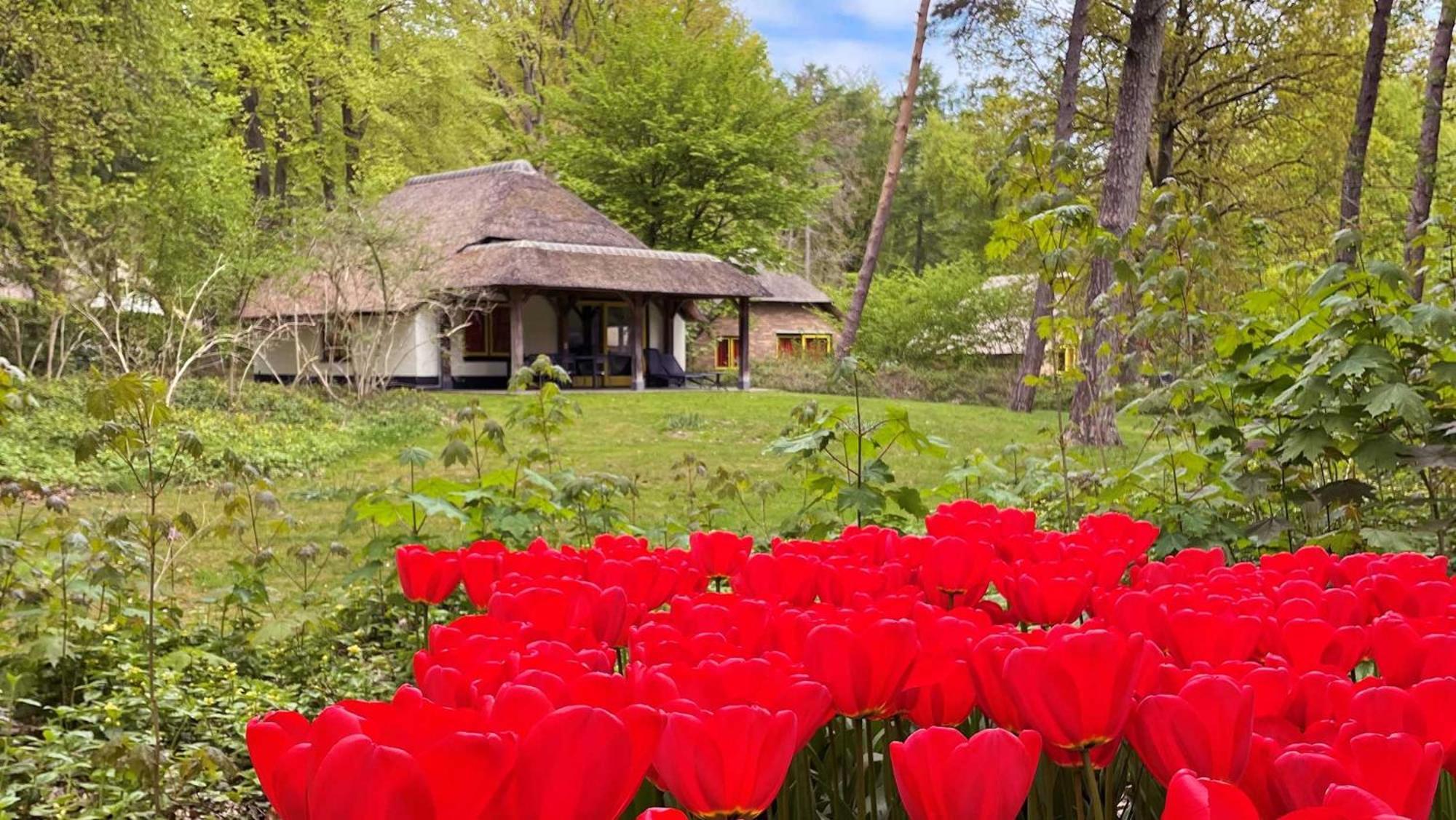 Molecaten Park De Leemkule Хаттем Номер фото