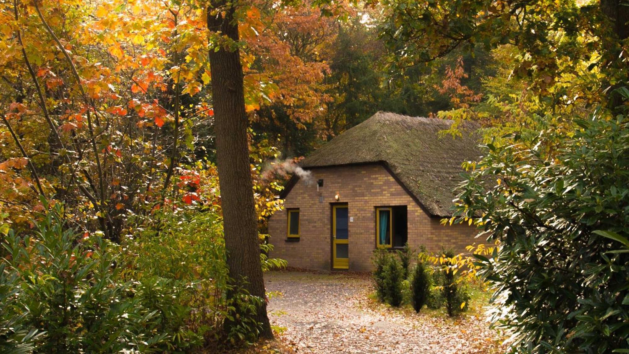 Molecaten Park De Leemkule Хаттем Номер фото