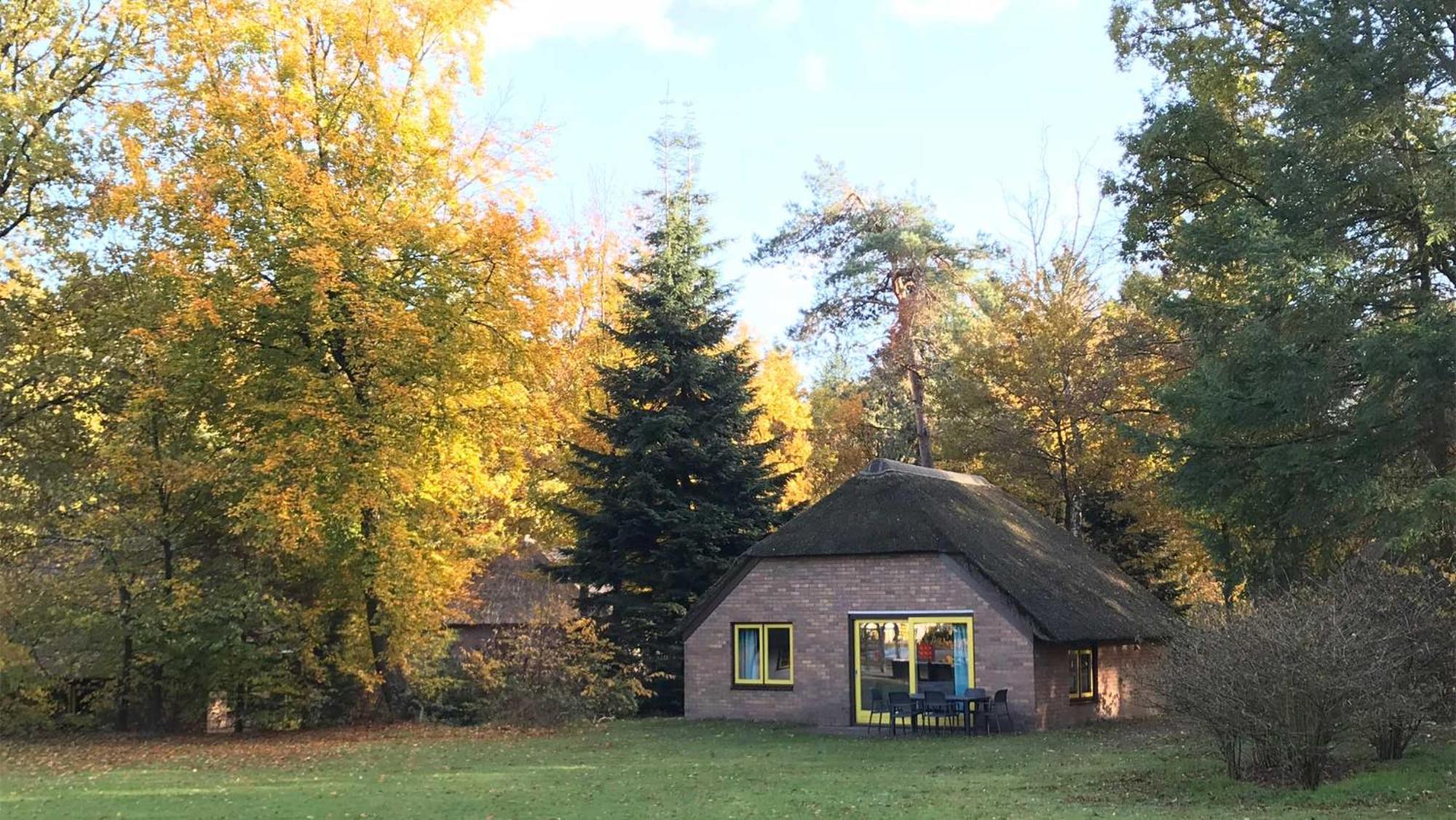 Molecaten Park De Leemkule Хаттем Номер фото