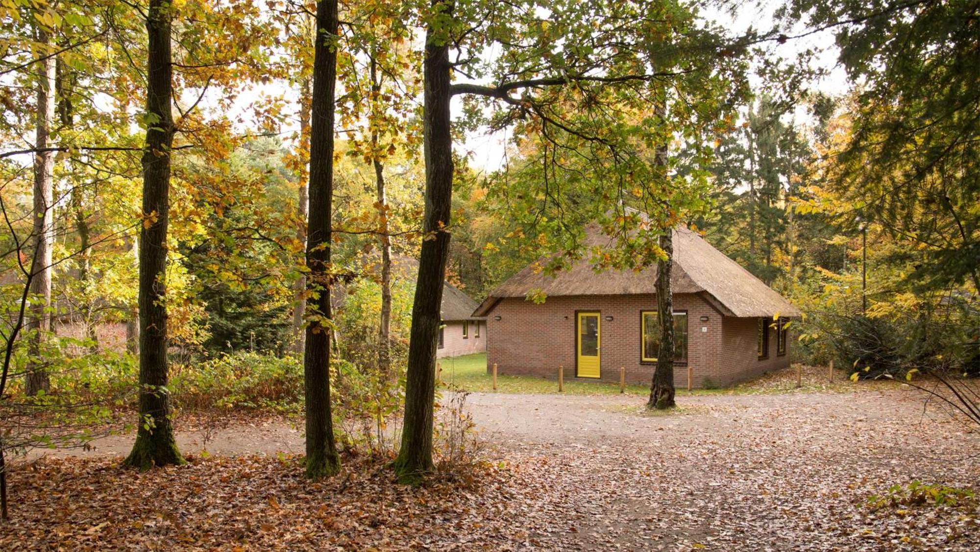 Molecaten Park De Leemkule Хаттем Номер фото