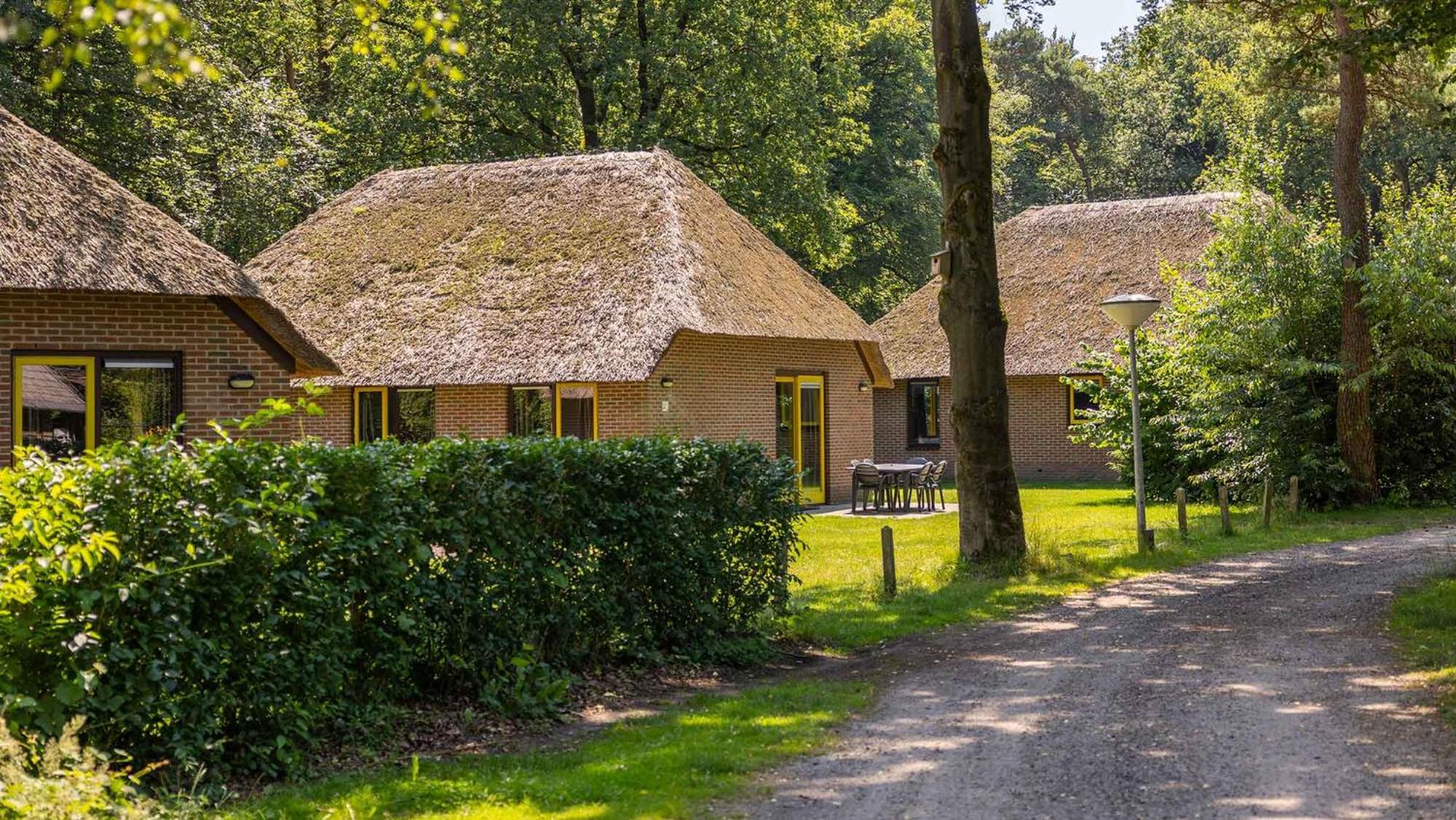 Molecaten Park De Leemkule Хаттем Экстерьер фото