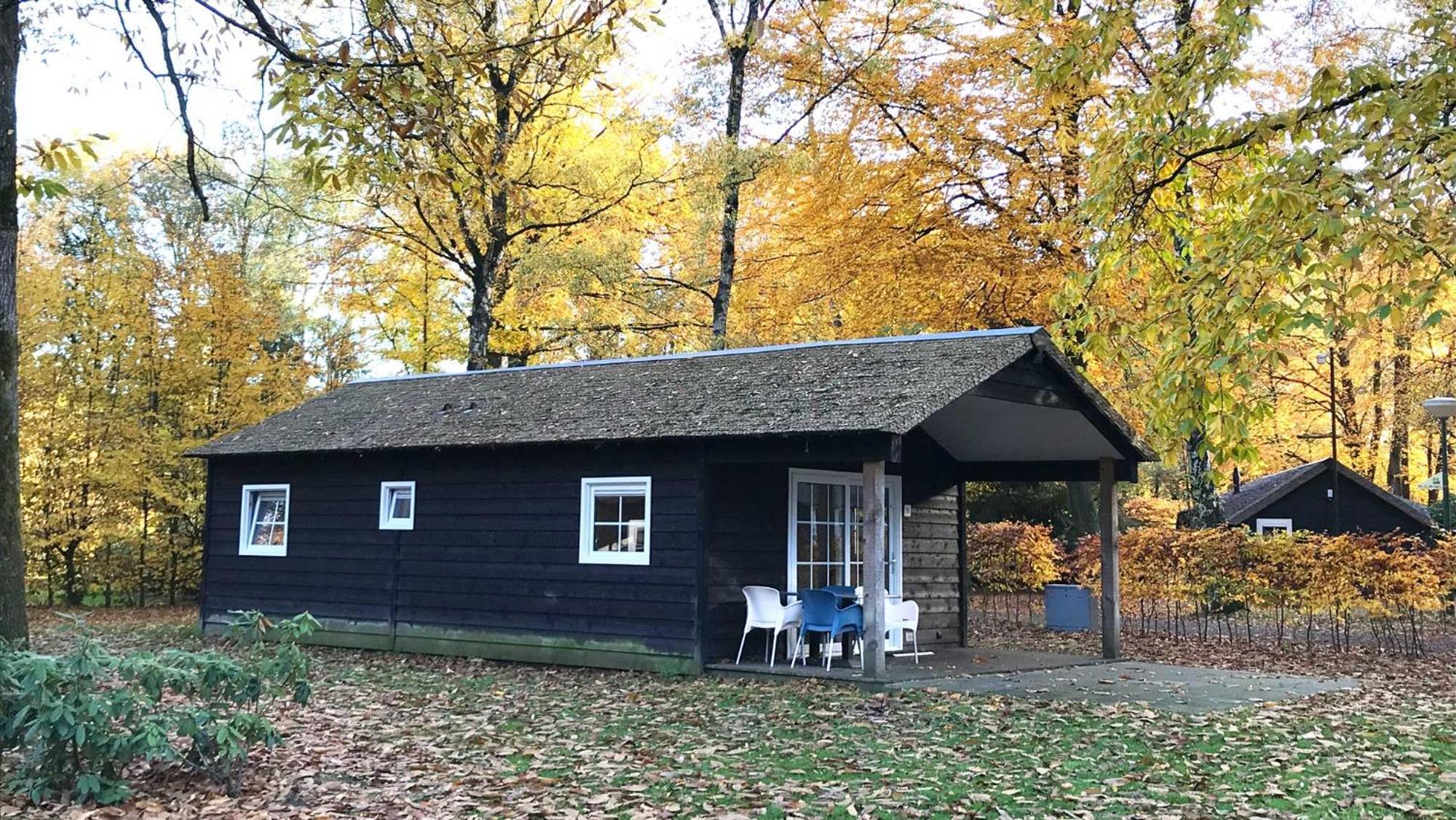 Molecaten Park De Leemkule Хаттем Номер фото