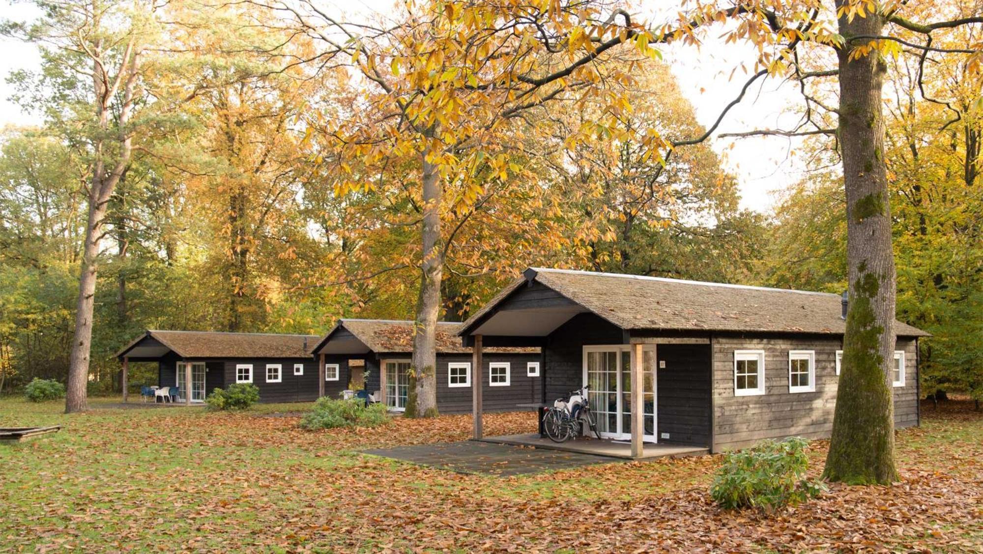 Molecaten Park De Leemkule Хаттем Номер фото